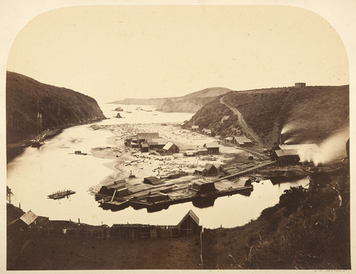 Albion Lumber Company Mill at Albion Bay, Mendocino County — historical photograph